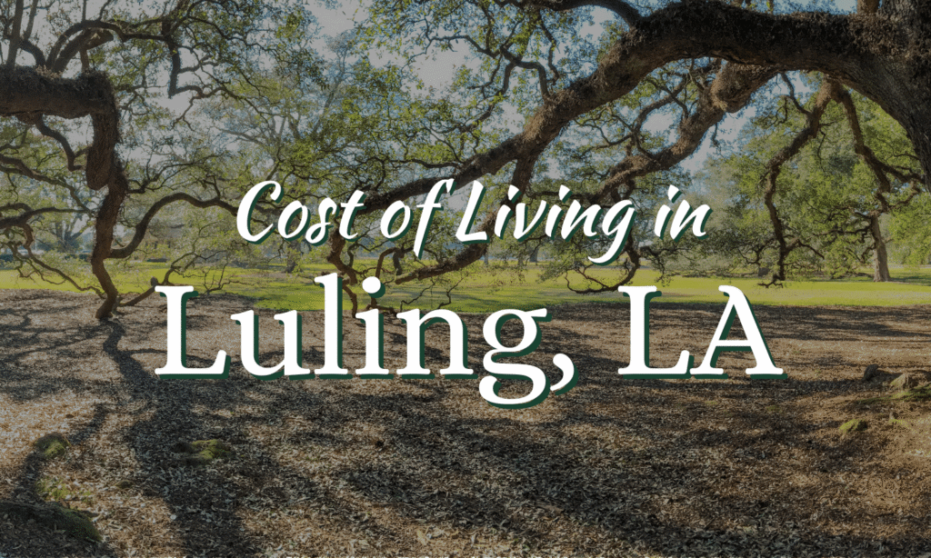 Oak trees in Luling, Louisiana