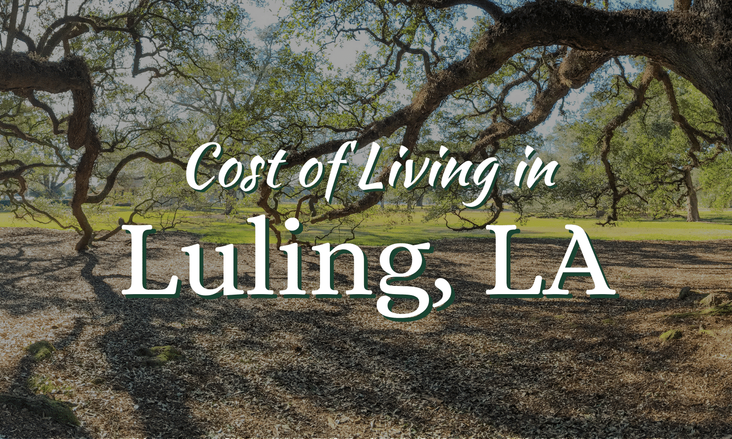 Oak trees in Luling, Louisiana